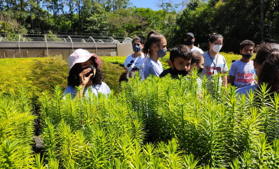 O Viveiro Florestal do Instituto Água e Terra (IAT) em Jacarezinho, no Norte Pioneiro do Estado, voltou a recepcionar estudantes pelo projeto de educação ambiental, nesta terça-feira (23). Ao todo, 34 alunos dos 4º e 5º anos do ensino fundamental da Escola Municipal Professora Ruth Pimentel Rocha tiveram a experiência de um dia no campo com atividades diferenciadas. - Jacarezinho, 23/11/2021 - Foto: IAT