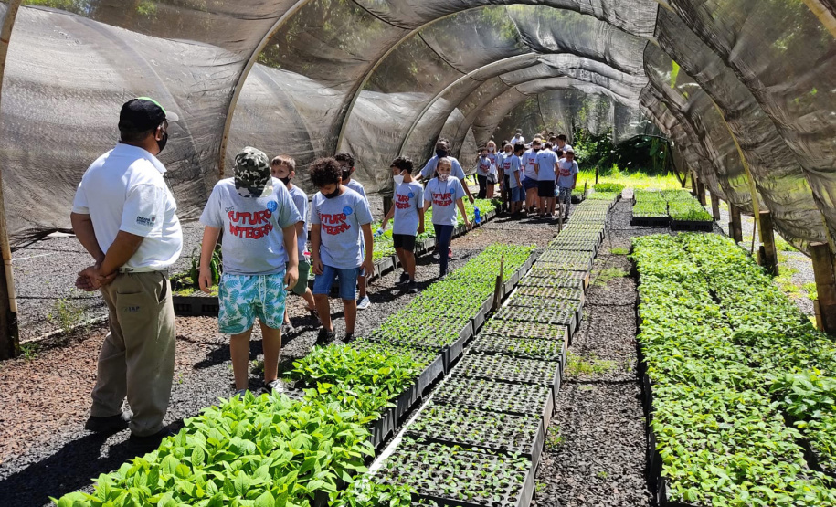 O Viveiro Florestal do Instituto Água e Terra (IAT) em Jacarezinho, no Norte Pioneiro do Estado, voltou a recepcionar estudantes pelo projeto de educação ambiental, nesta terça-feira (23). Ao todo, 34 alunos dos 4º e 5º anos do ensino fundamental da Escola Municipal Professora Ruth Pimentel Rocha tiveram a experiência de um dia no campo com atividades diferenciadas. - Jacarezinho, 23/11/2021 - Foto: IAT