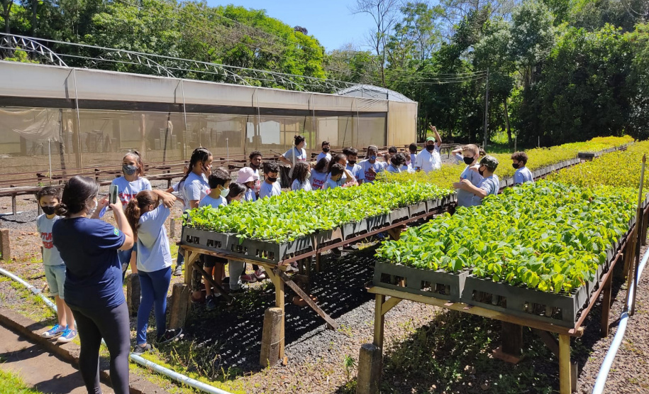 O Viveiro Florestal do Instituto Água e Terra (IAT) em Jacarezinho, no Norte Pioneiro do Estado, voltou a recepcionar estudantes pelo projeto de educação ambiental, nesta terça-feira (23). Ao todo, 34 alunos dos 4º e 5º anos do ensino fundamental da Escola Municipal Professora Ruth Pimentel Rocha tiveram a experiência de um dia no campo com atividades diferenciadas. - Jacarezinho, 23/11/2021 - Foto: IAT