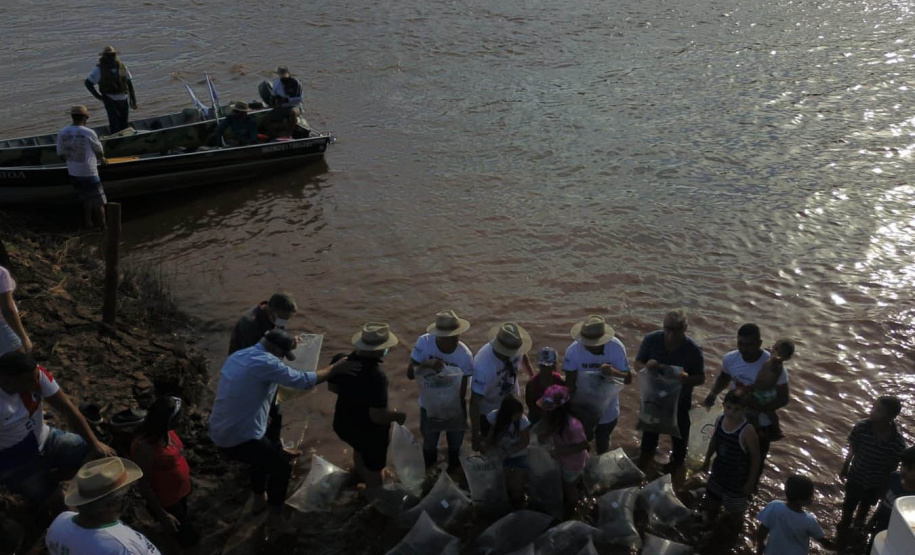 No Dia do Rio, Paraná celebra avanços no repovoamento dos rios e recuperação de nascentes. Foto: Denis Ferreira Netto