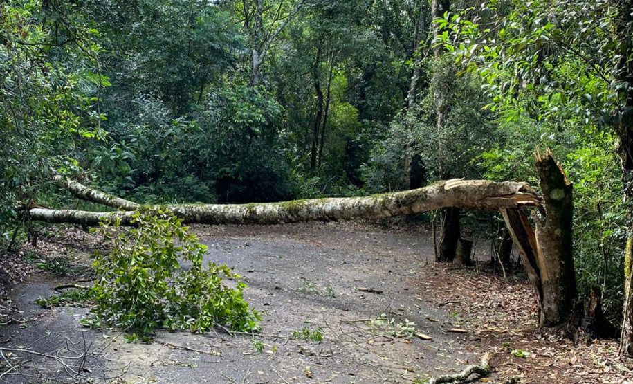 Temporal danifica estrutura do Parque Estadual Vitório Piassa, em Pato Branco - Pato Branco, 29/11/2021 - Foto: IAT