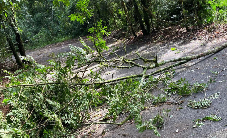 Temporal danifica estrutura do Parque Estadual Vitório Piassa, em Pato Branco - Pato Branco, 29/11/2021 - Foto: IAT
