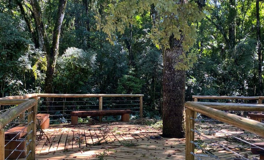 Temporal danifica estrutura do Parque Estadual Vitório Piassa, em Pato Branco - Pato Branco, 29/11/2021 - Foto: IAT