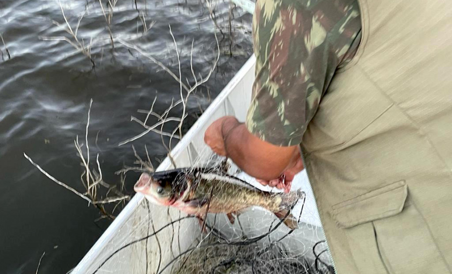 Em força-tarefa, o Instituto Água e Terra (IAT) apreendeu equipamentos de pesca irregular e se deparou com crimes ambientais ao longo da Represa do Capivari, em Campina Grande do Sul, na Região Metropolitana de Curitiba (RMC). - Curitiba, 19/11/2021 - Foto: IAT