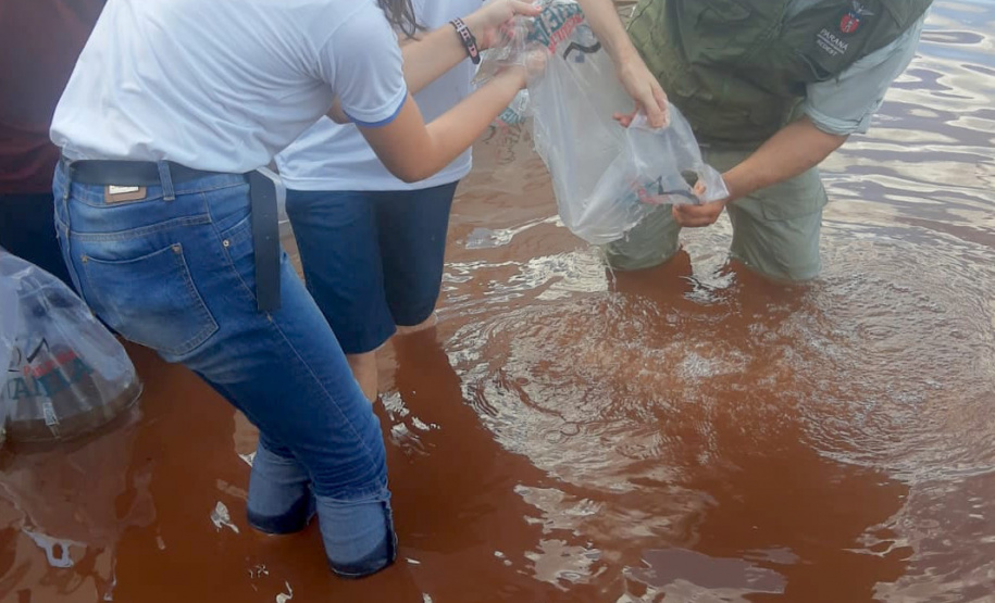Com apoio do Estado e educação ambiental, competição de pesca ajuda Apaes no Norte do Estado