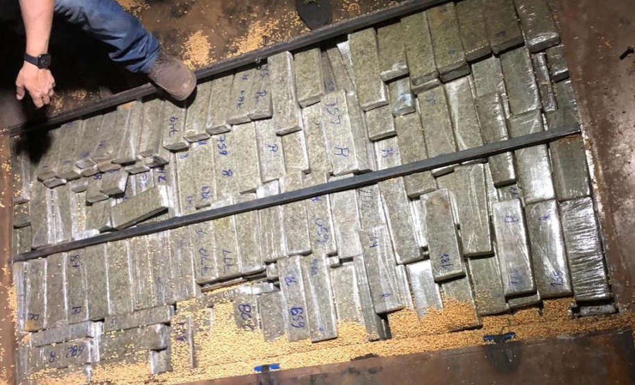 As diversas operações integradas, ações ostensivas, de patrulhamento, de investigação e de fiscalização desencadeadas pelas forças de segurança pública do Paraná resultaram na apreensão de 219 toneladas de drogas nos primeiros nove meses de 2021.