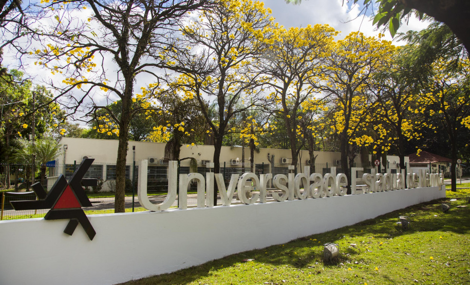 Patenteado pela UEM, concreto polimérico utiliza embalagens PET