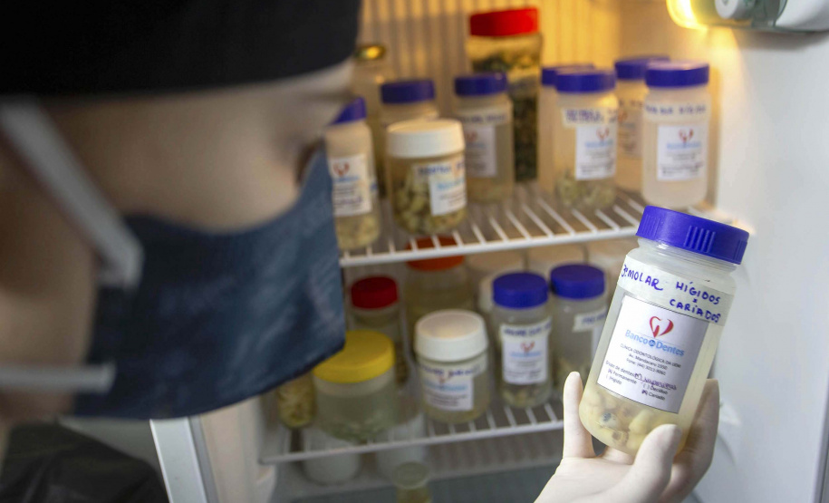 Banco de Dente Humano (BDH) da UEM recebe doações; saiba como colaborar