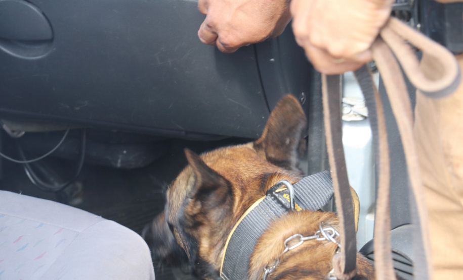 Polícia Militar aplica cães de faro contra o tráfico de drogas no Litoral