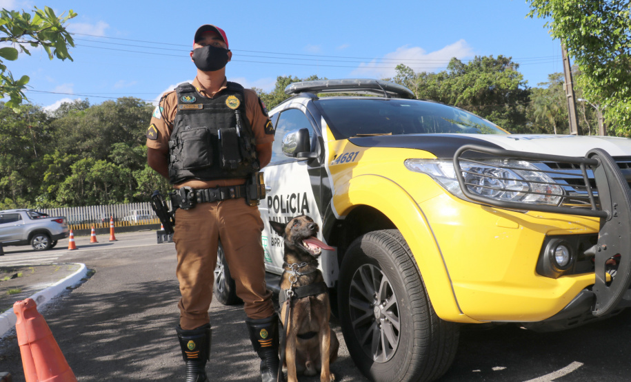 Polícia Militar aplica cães de faro contra o tráfico de drogas no Litoral
