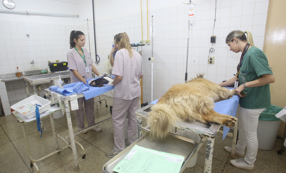 Universidade estaduais do Paraná são destaques em rankings nacionais e internacionais