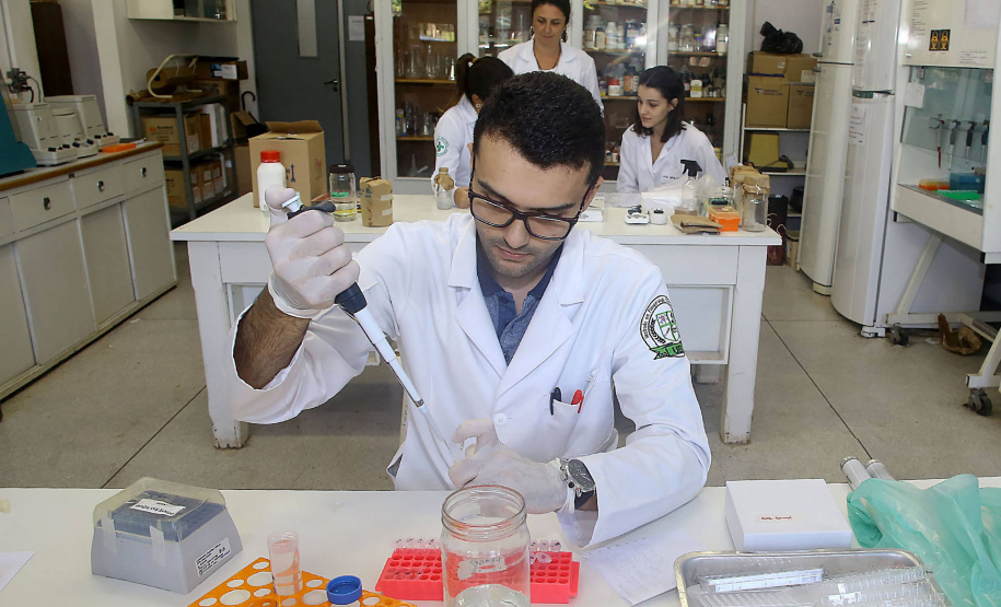 Universidade estaduais do Paraná são destaques em rankings nacionais e internacionais