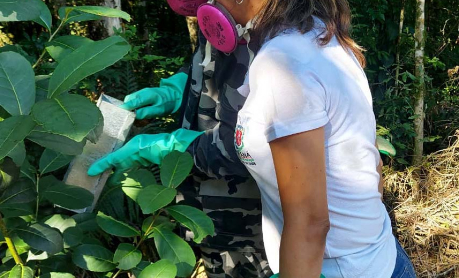 Casos de Hantavirose no Estado acionam equipes da vigilância em saúde