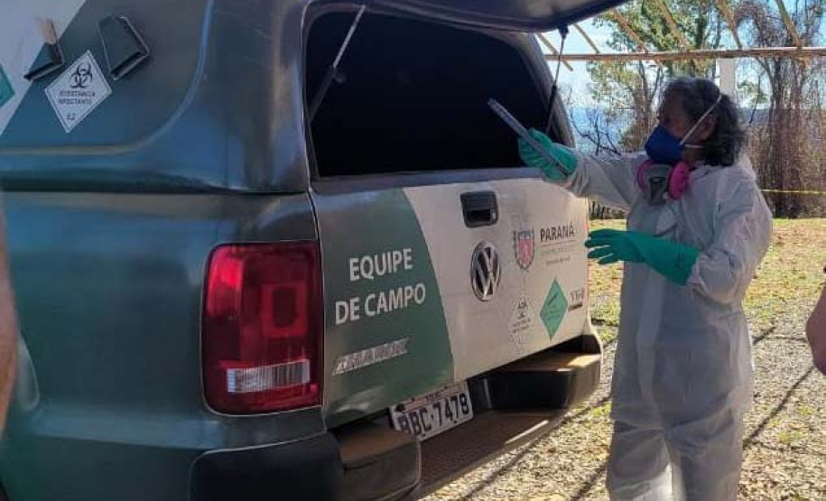 Casos de Hantavirose no Estado acionam equipes da vigilância em saúde