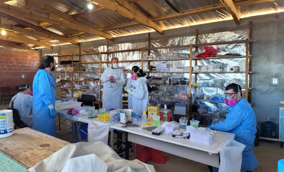 Casos de Hantavirose no Estado acionam equipes da vigilância em saúde