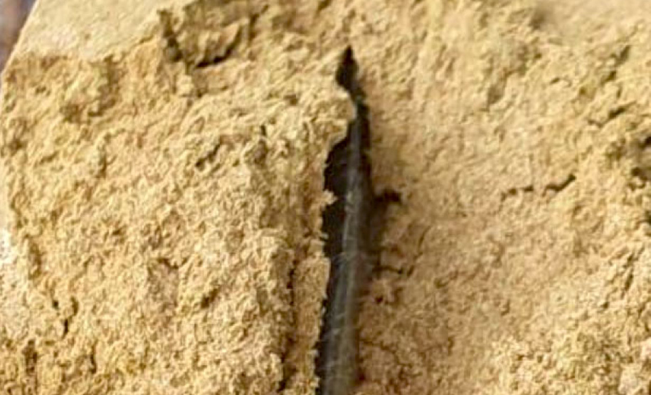 As diversas operações integradas, ações ostensivas, de patrulhamento, de investigação e de fiscalização desencadeadas pelas forças de segurança pública do Paraná resultaram na apreensão de 219 toneladas de drogas nos primeiros nove meses de 2021.