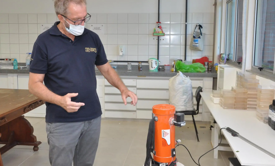 Produto desenvolvido pela UEL mostra eficácia no combate à formiga saúva