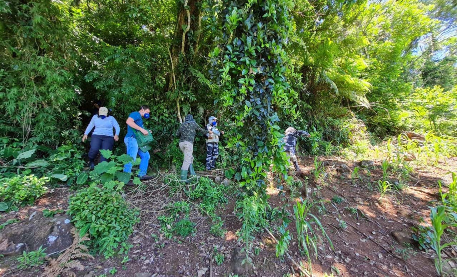 Casos de Hantavirose no Estado acionam equipes da vigilância em saúde