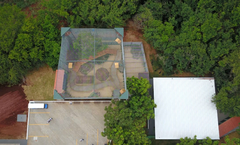 Maringá ganha novos espaços de proteção ao meio ambiente e à fauna silvestre - Maringá, 16/12/2021