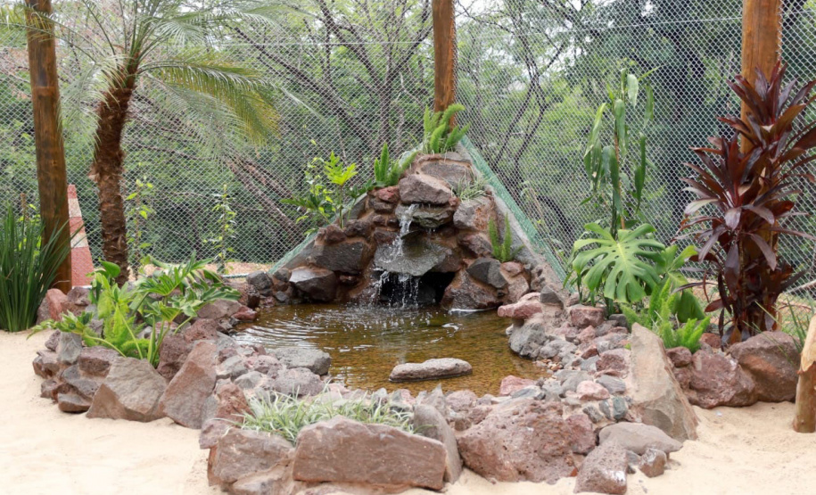 Maringá ganha novos espaços de proteção ao meio ambiente e à fauna silvestre - Maringá, 16/12/2021