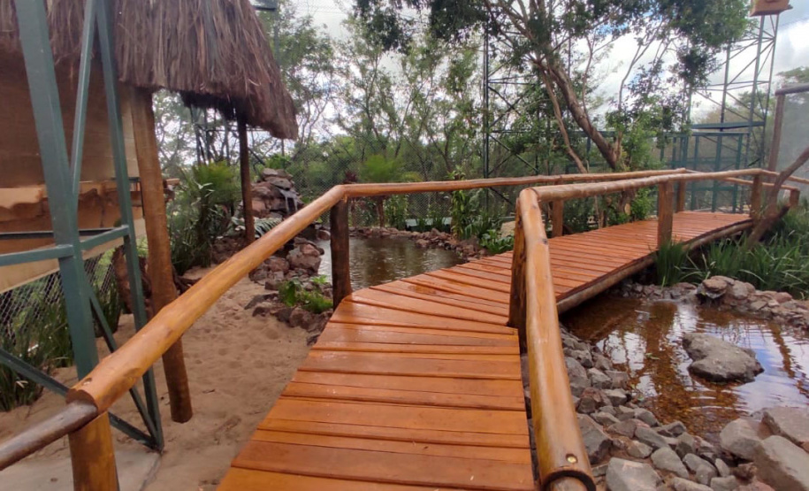 Maringá ganha novos espaços de proteção ao meio ambiente e à fauna silvestre - Maringá, 16/12/2021