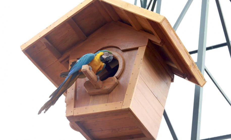 Maringá ganha novos espaços de proteção ao meio ambiente e à fauna silvestre - Maringá, 16/12/2021