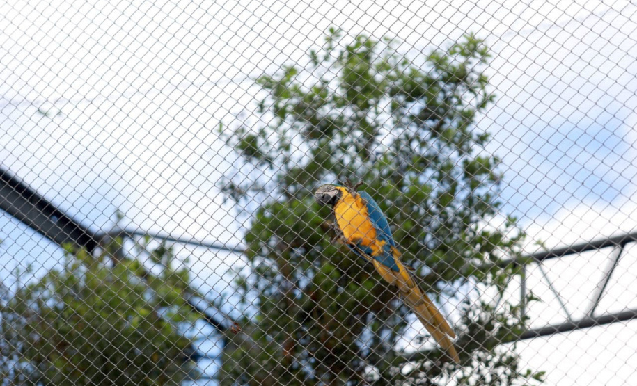 Maringá ganha novos espaços de proteção ao meio ambiente e à fauna silvestre - Maringá, 16/12/2021