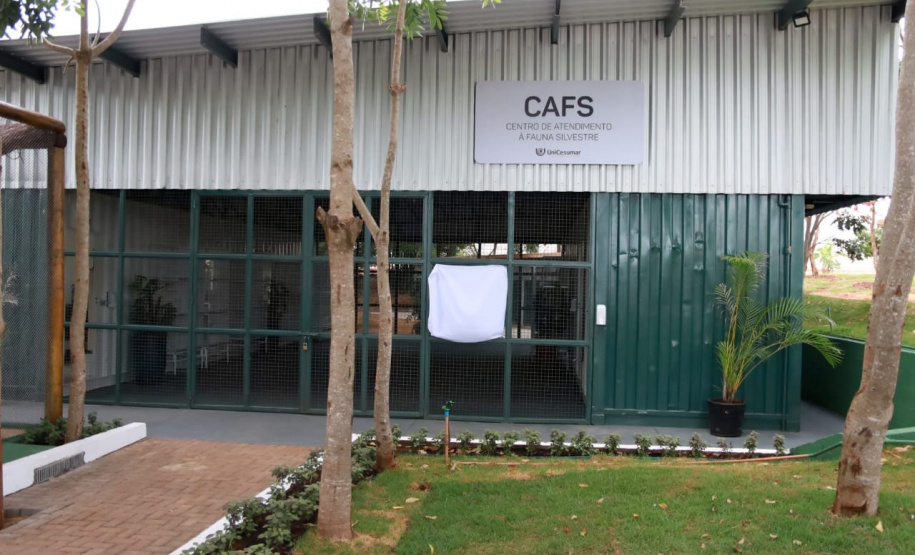 Maringá ganha novos espaços de proteção ao meio ambiente e à fauna silvestre - Maringá, 16/12/2021