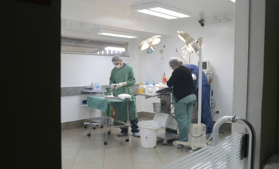 Centros de apoio à fauna reabilitaram 3,9 mil animais silvestres em 2021