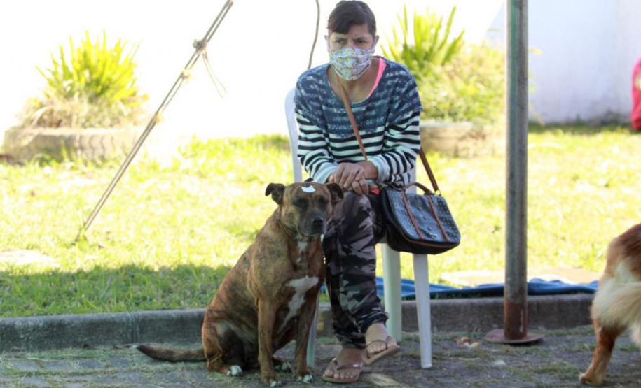 Centros de apoio à fauna reabilitaram 3,9 mil animais silvestres em 2021