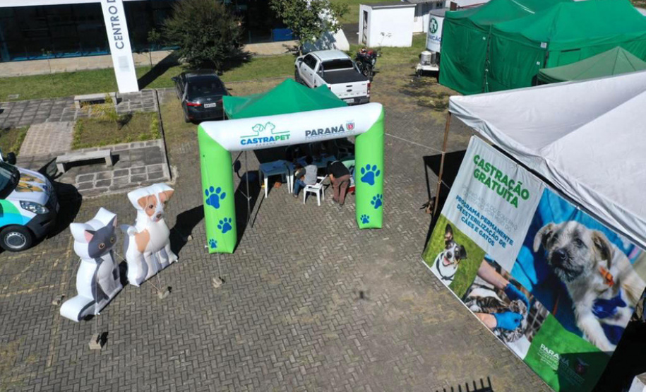 Centros de apoio à fauna reabilitaram 3,9 mil animais silvestres em 2021