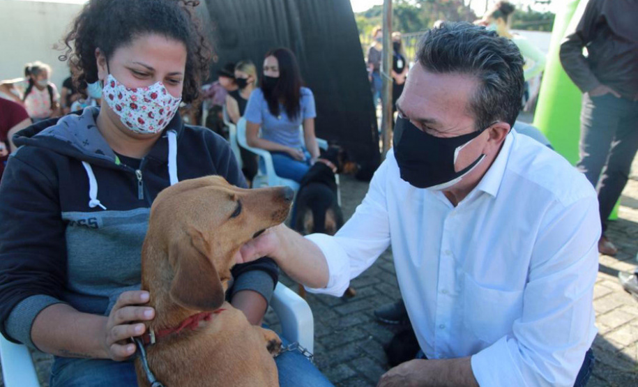 Centros de apoio à fauna reabilitaram 3,9 mil animais silvestres em 2021