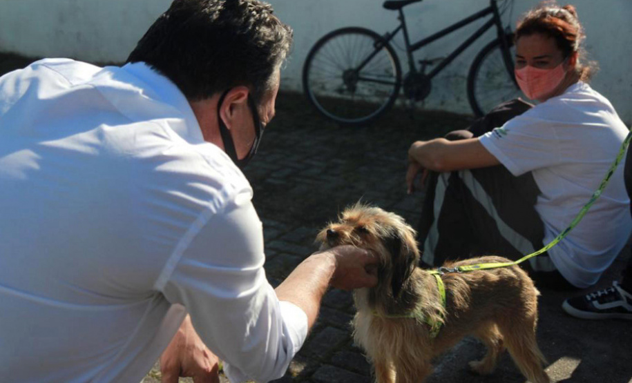 Centros de apoio à fauna reabilitaram 3,9 mil animais silvestres em 2021