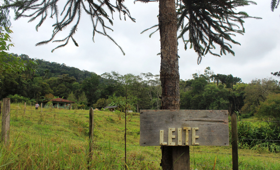 Programa Leite das Crianças leva segurança alimentar ao Vale do Ribeira