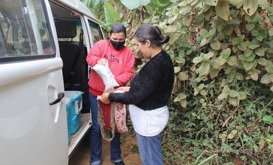 Programa Leite das Crianças leva segurança alimentar ao Vale do Ribeira