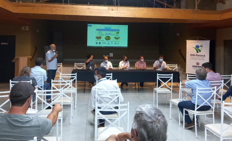 Em nota técnica, IDR-Paraná divulga orientações sobre colheita de feijão
