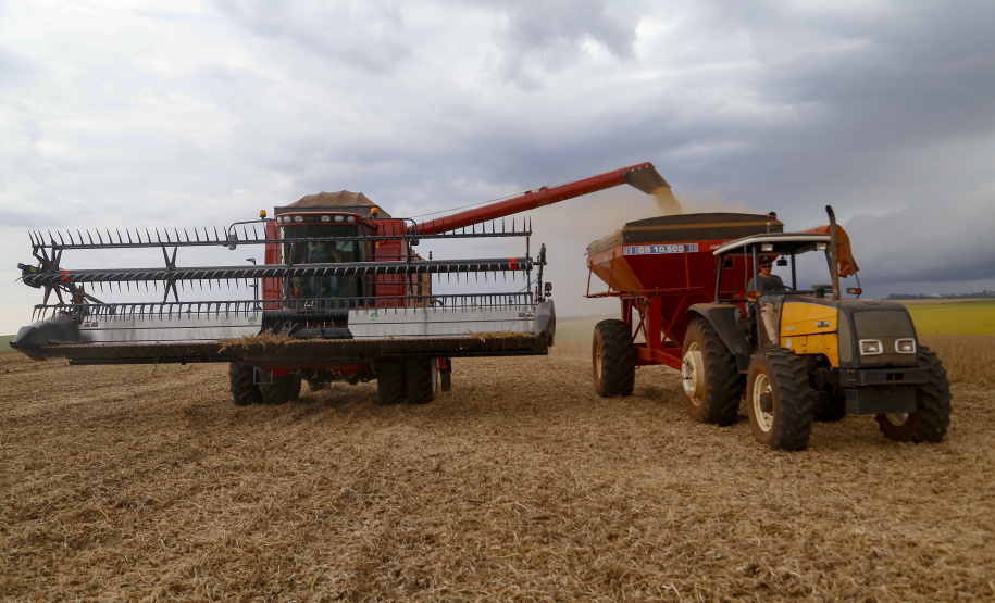 Boletim da Agricultura aponta que plantio de soja já alcança quase 5,6 milhões de hectares