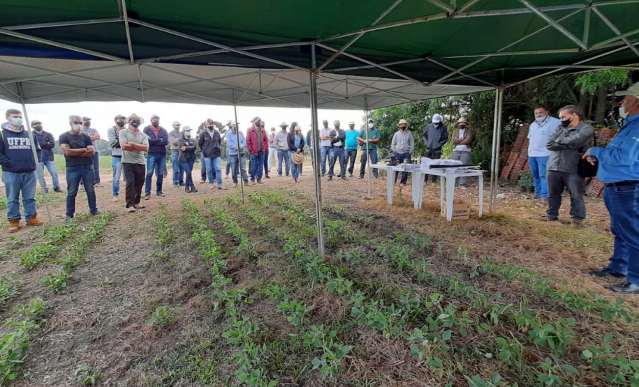 Giro Técnico da soja reuniu 1.300 pessoas em todo o estado