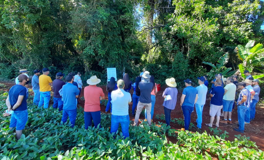 Giro Técnico da soja reuniu 1.300 pessoas em todo o estado