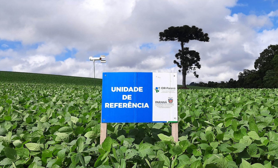 Giro Técnico da soja reuniu 1.300 pessoas em todo o estado