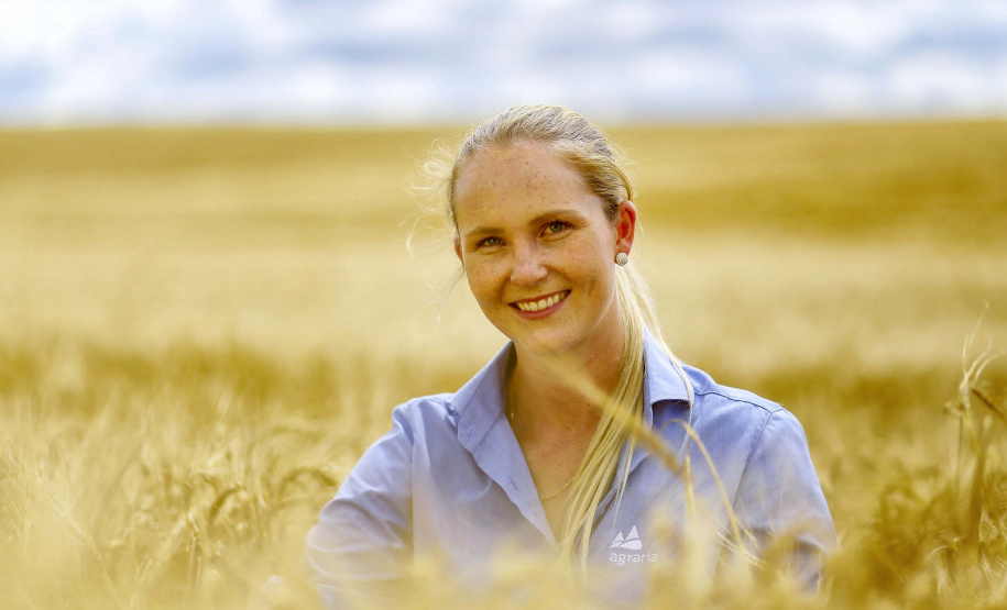 A cevada é uma cultura de inverno, com plantio iniciado em julho e a colheita em novembro.