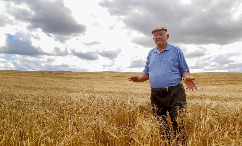 A cevada é uma cultura de inverno, com plantio iniciado em julho e a colheita em novembro.