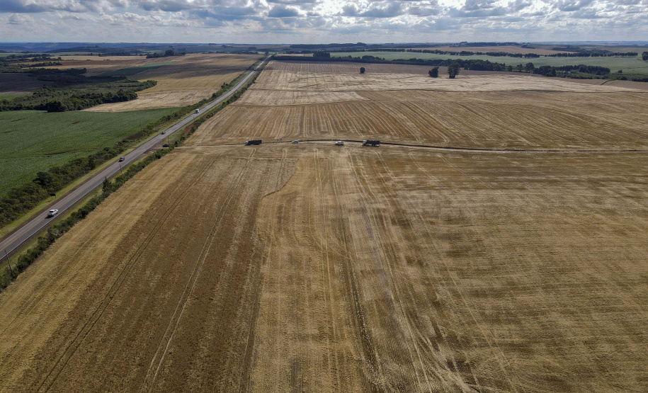A cevada é uma cultura de inverno, com plantio iniciado em julho e a colheita em novembro.
