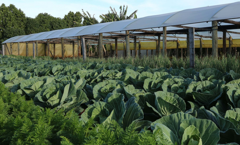 IDR-Paraná fecha o ano vencendo desafios e apontando caminhos para o produtor paranaense