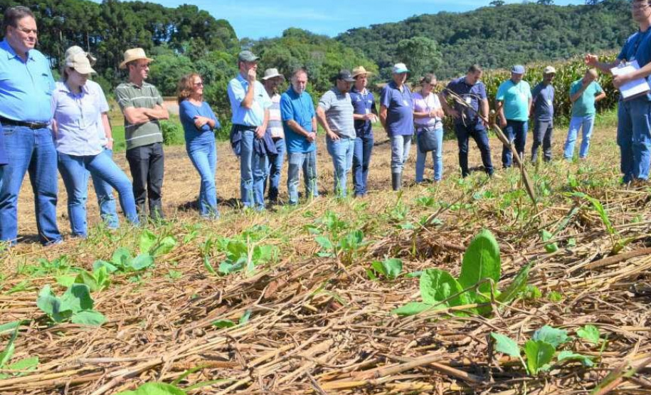 IDR-Paraná fecha o ano vencendo desafios e apontando caminhos para o produtor paranaense