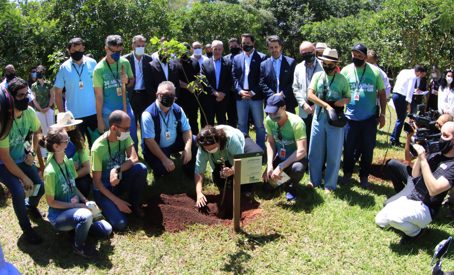 Em Foz do Iguaçu, governador acompanha plantio da 24ª milionésima árvore pela Itaipu Binacional