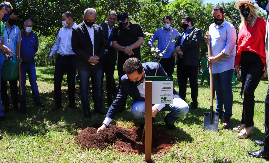 Em Foz do Iguaçu, governador acompanha plantio da 24ª milionésima árvore pela Itaipu Binacional