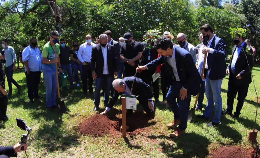 Em Foz do Iguaçu, governador acompanha plantio da 24ª milionésima árvore pela Itaipu Binacional
