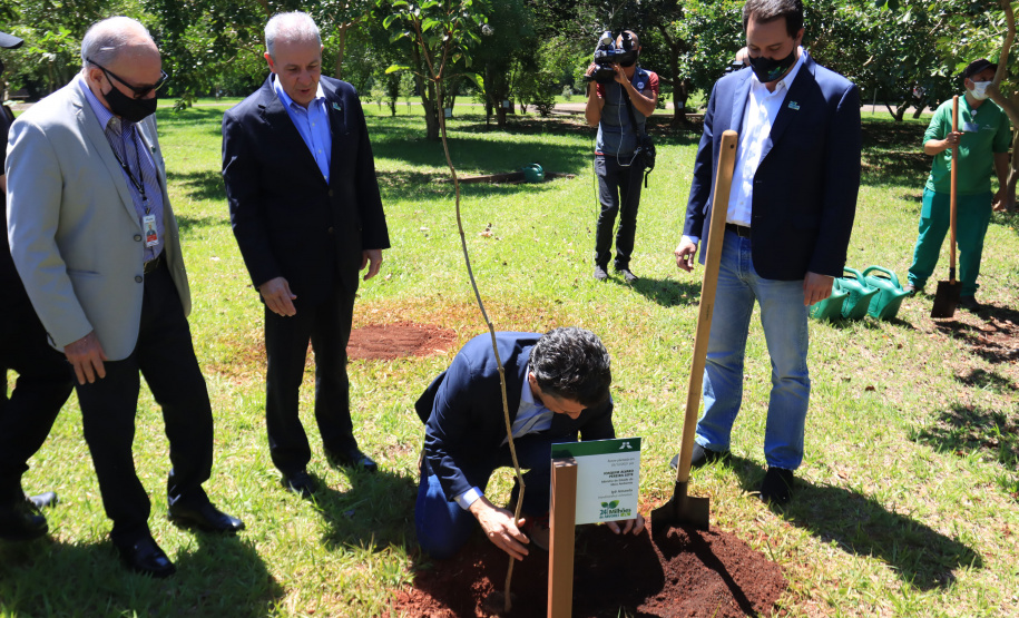 Em Foz do Iguaçu, governador acompanha plantio da 24ª milionésima árvore pela Itaipu Binacional