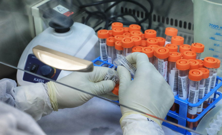 Pesquisadores desenvolvem programa capaz de identificar novos genes